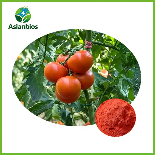 Bulk Tomato Powder